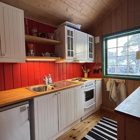 Cozy In Tatil Evi Geilo