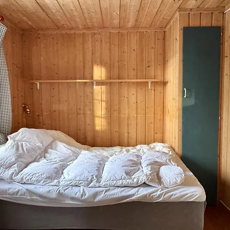 Cozy In *